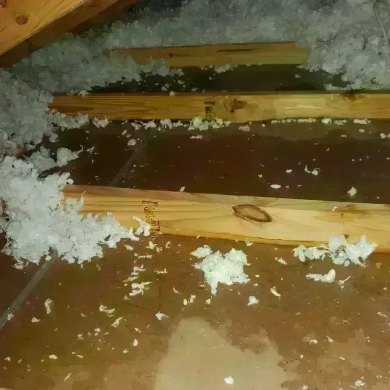 Attic Water Damage in Osceola, MO